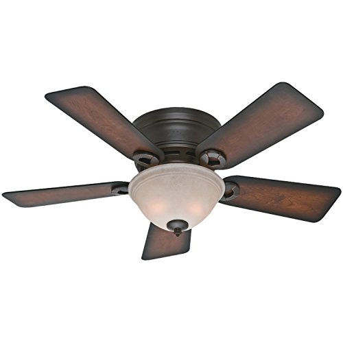 8) Hunter Conroy Indoor Ceiling Fan